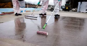 Application of the primer