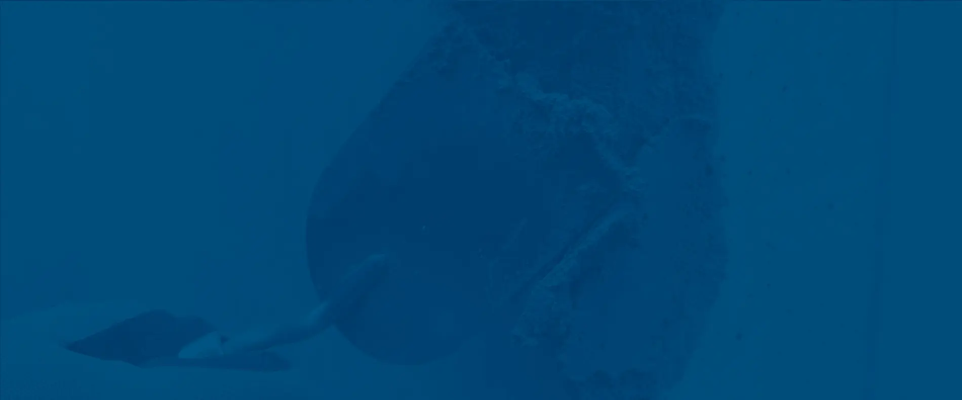 Emcefix Spachtel G lang