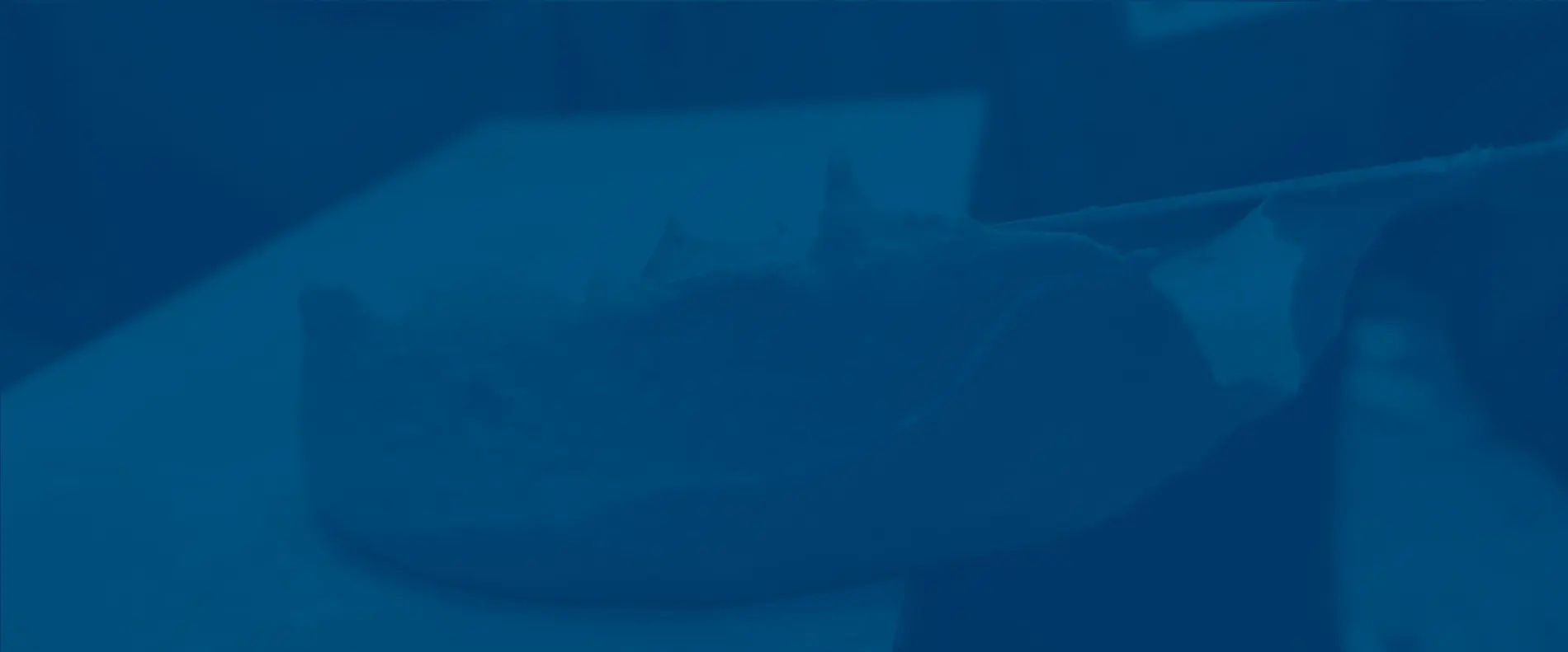 Emcefix Spachtel F extra fein